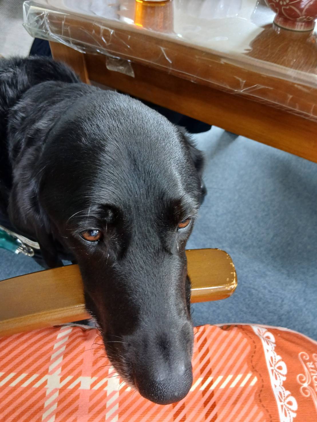 ゆめみる事業所写真