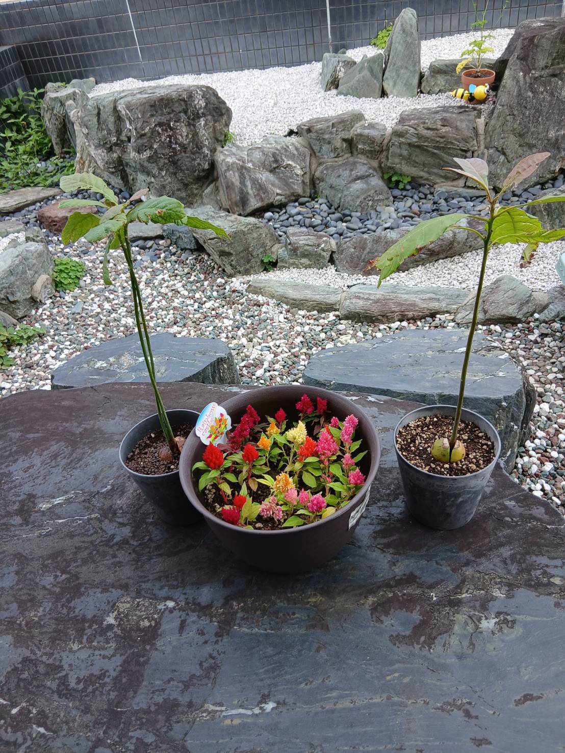 ゆめみる事業所写真