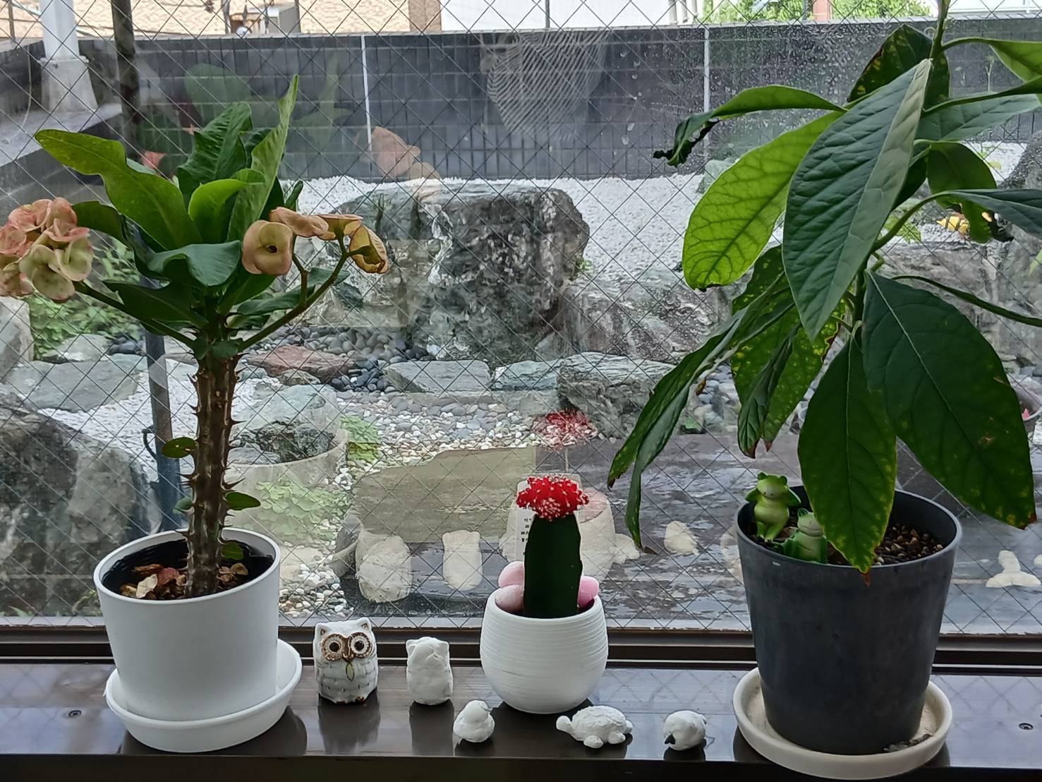 ゆめみる事業所写真