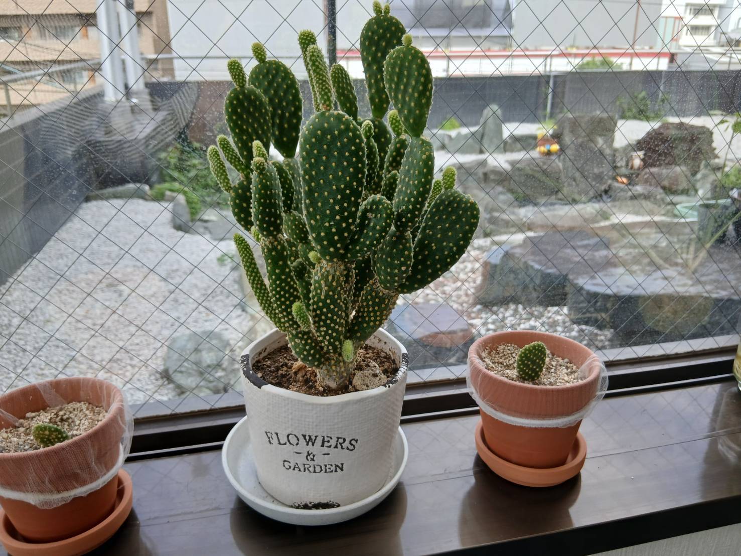 ゆめみる事業所写真